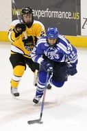 ice hockey players on the rink