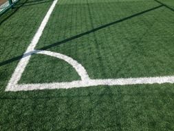 soccer field lawn