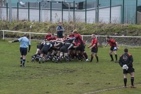 rugby players on a field