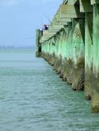 view shuoku on a big jetty in new zealand