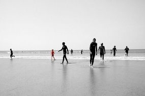 group of surfers on the beach