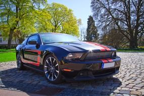 modern Ford Mustang is a sports car