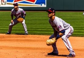 joe mauer baseball, minnesota