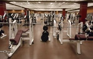 weight training equipment in the gym