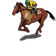 Picture of horse riding