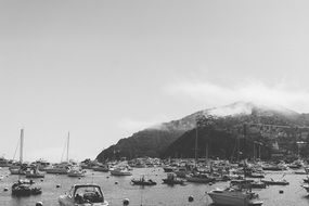 boats in the harbor in winter