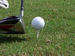 close up of golf ball game