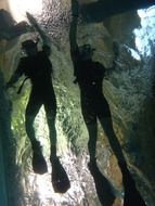 two underwater swimmers