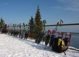 snowshoes for walking