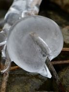 frozen ball on a branch