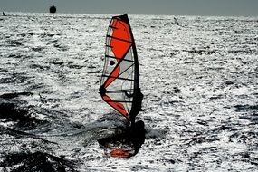 San Francisco Windsurfing