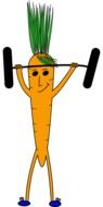 weightlifting carrot