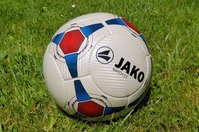football on the green grass