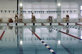 swimmers in the pool