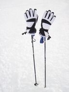 gloves on ski poles