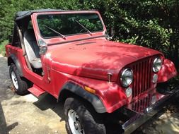 red jeep near green bushes