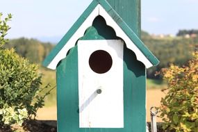 bird feeder on the pole