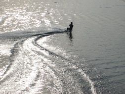 wakeboard