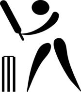 icon of a cricket player