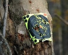 target practice bullseye
