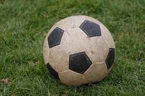 soccer ball on the lawn