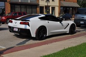 Side view of a white corvette