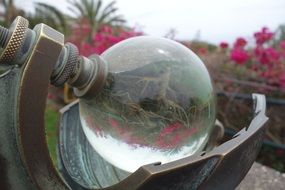 glass ball in a garden