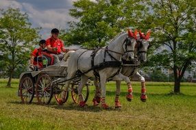 coach driving with horses