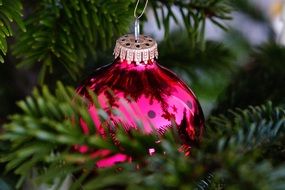 christmas tree with pink glass ball