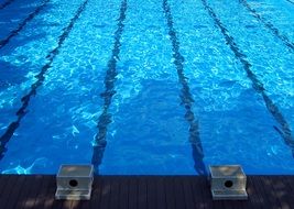olimpic swimming pool