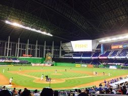 baseball fan court sport