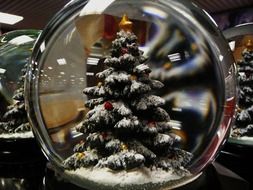 Christmas tree in a glass ball