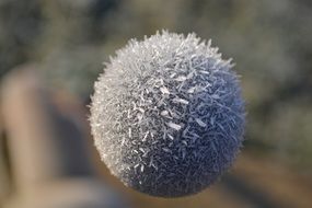 gray ball in frost close up