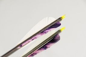 spring arrows for archery sport