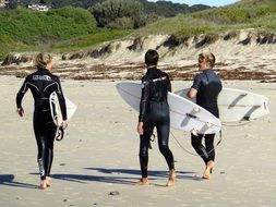 surfers on the beach on a sunny day