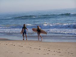 surfer, beach, sport,sea,water sport,surfboard