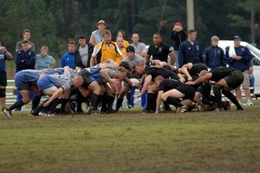 rugby football scrum