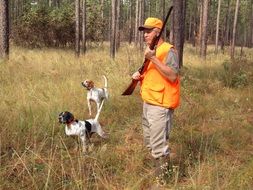 hunter with two dogs in the forest