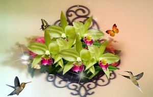 hummingbirds and butterflies around orchids, collage