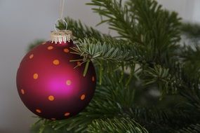 pink ball in dots on Christmas tree