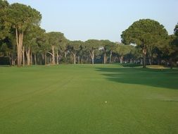 golf course meadow sport rush