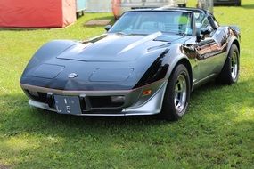 Sports car parked on green grass