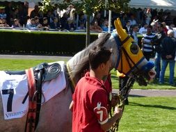horse racing in Istanbul