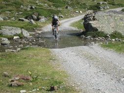 cycling transalp