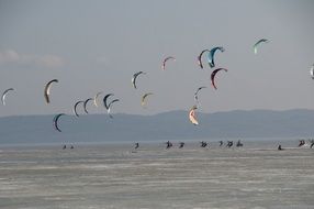 sport kitesurfing