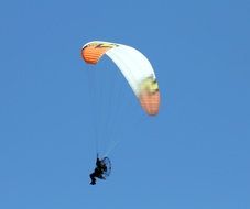 paragliders sport