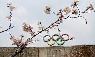 olympic rings on top of wall behind cherry blossom