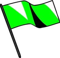 painted green flag