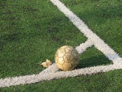football ball on th grass