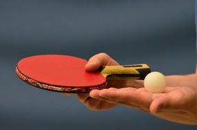 racket and ping pong ball